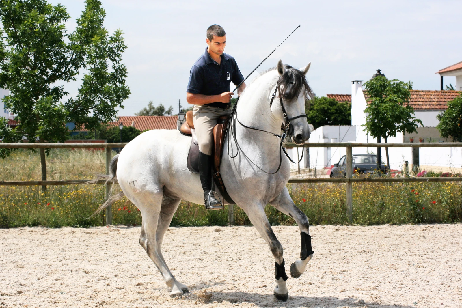 Frederico Portugal