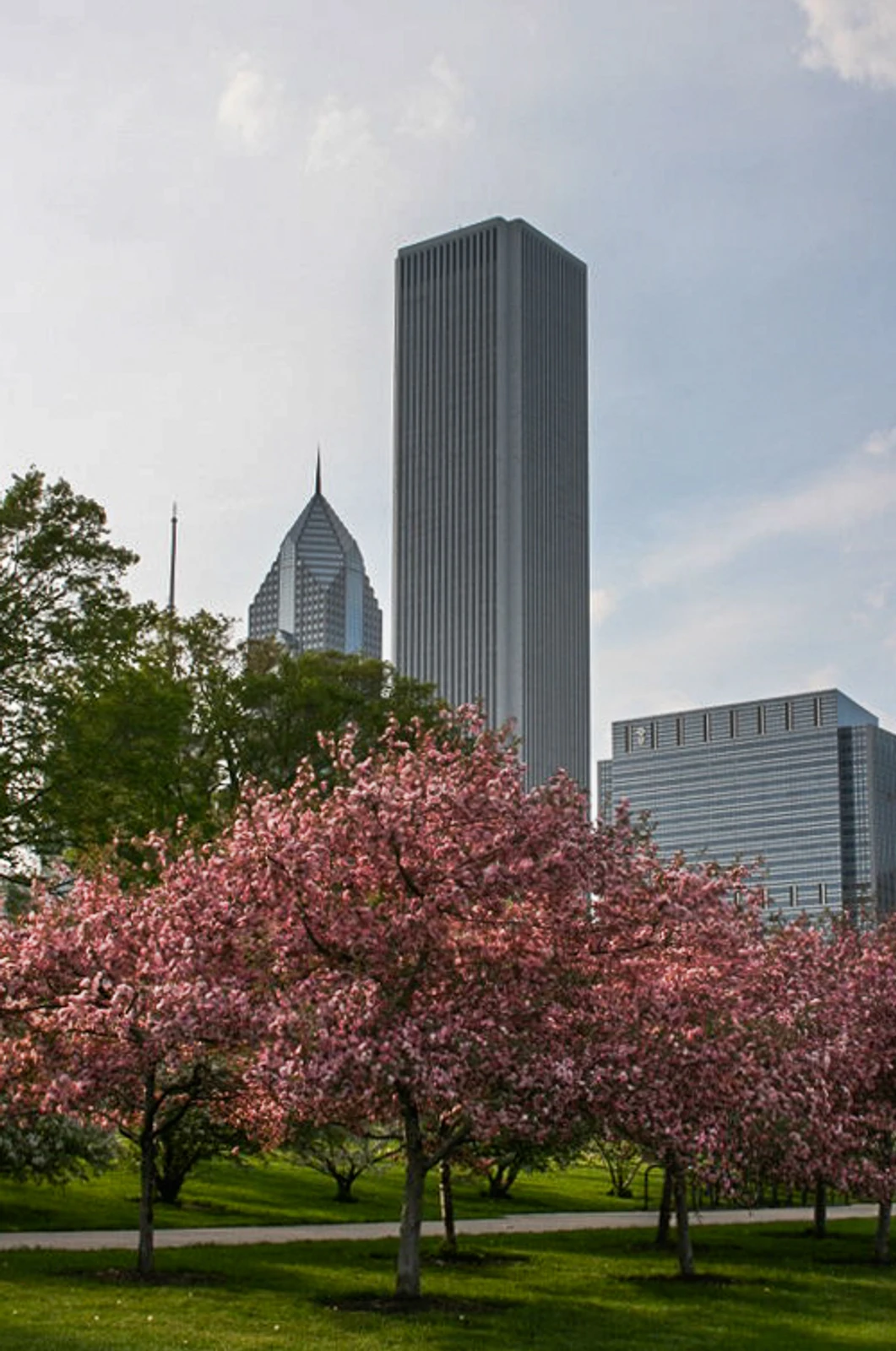 Chicago 038.jpg