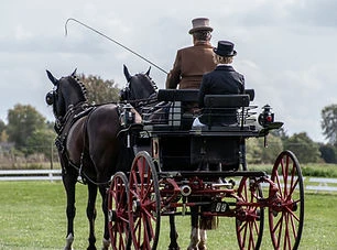 Stævne_Koier_Hestevogne_23-09-2018_488.j