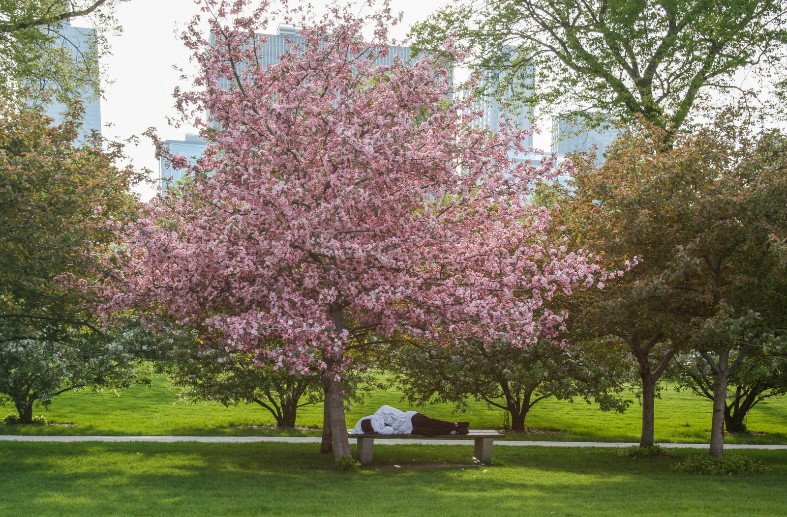 Chicago 037.jpg