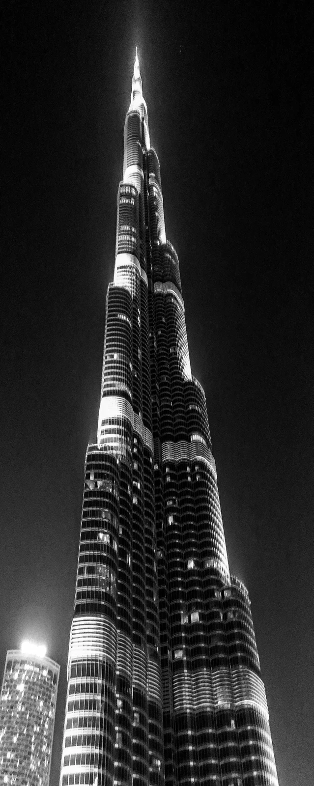untitled image