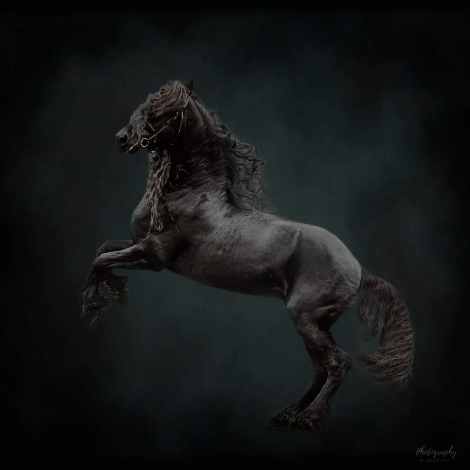 Kai Fan De Marren Fine Art