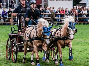 Store_hestedag_kåring_01-09-2018_204.jpg