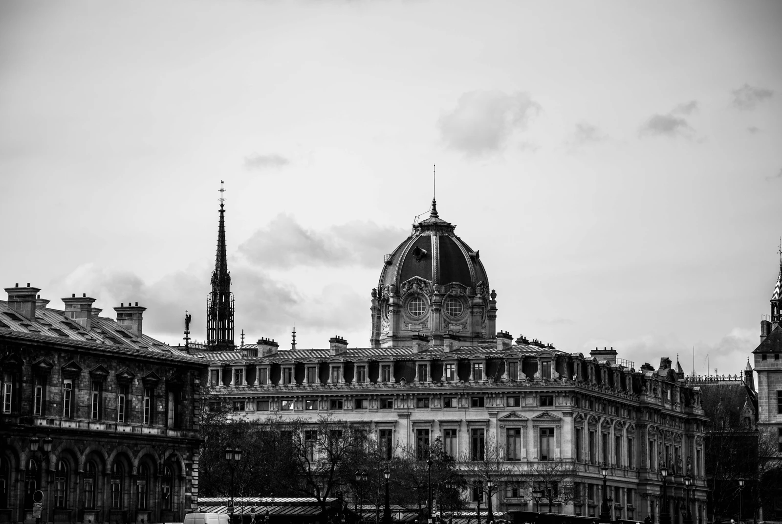 206.jpg